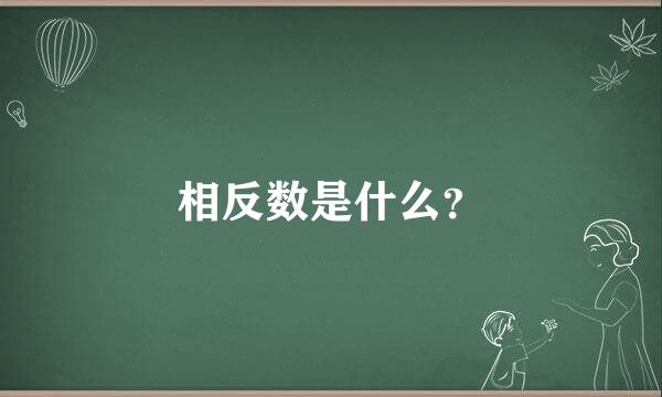 相反数是什么？