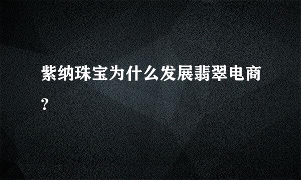 紫纳珠宝为什么发展翡翠电商？