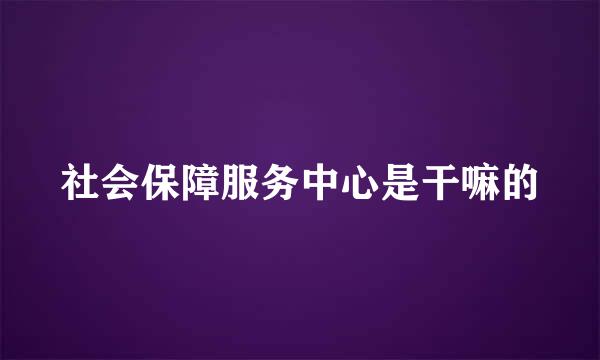 社会保障服务中心是干嘛的