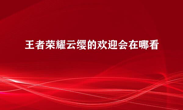 王者荣耀云缨的欢迎会在哪看