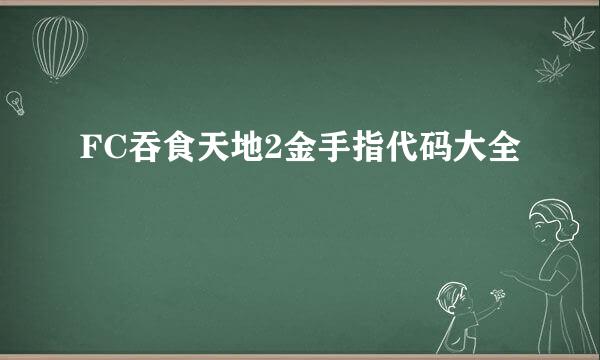 FC吞食天地2金手指代码大全