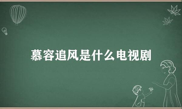 慕容追风是什么电视剧