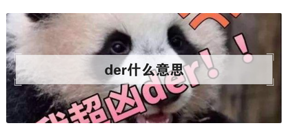 der什么意思