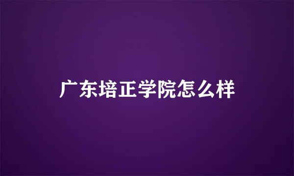 广东培正学院怎么样