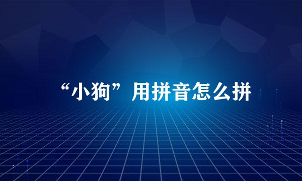 “小狗”用拼音怎么拼