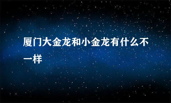 厦门大金龙和小金龙有什么不一样