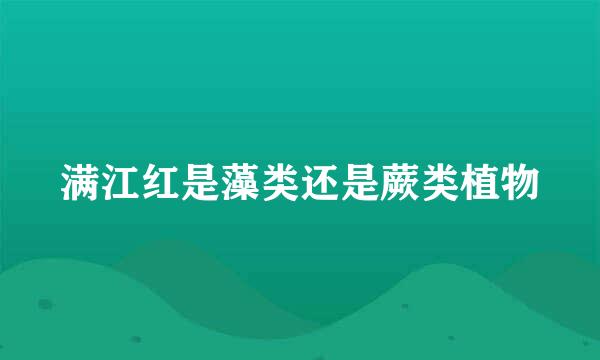 满江红是藻类还是蕨类植物