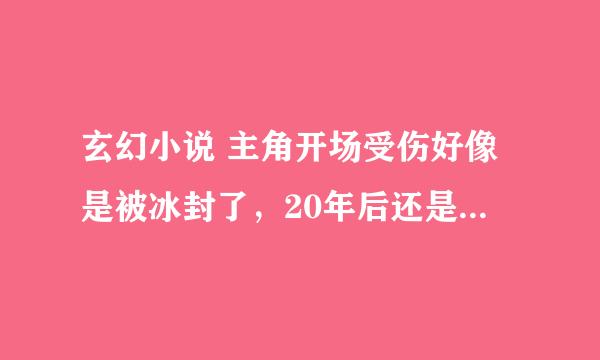 玄幻小说 主角开场受伤好像是被冰封了，20年后还是100年后才脱离出来。出来后还给人当过小厮。