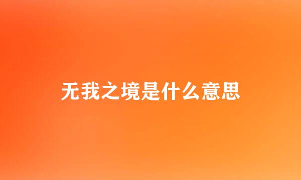 无我之境是什么意思