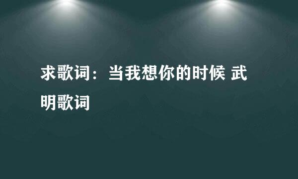 求歌词：当我想你的时候 武明歌词