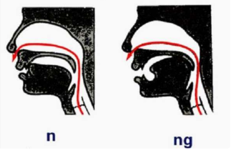 前鼻音和后鼻音有哪些？