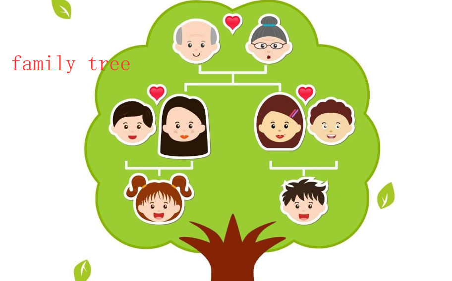 family tree是什么意思