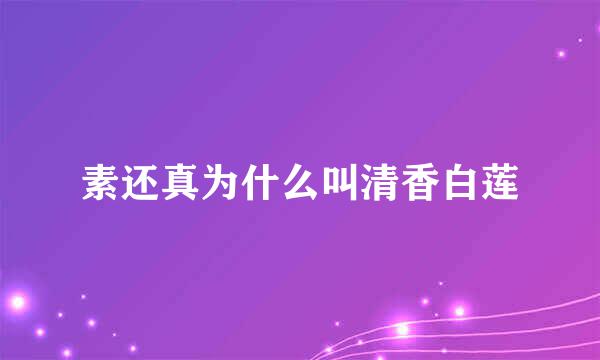 素还真为什么叫清香白莲