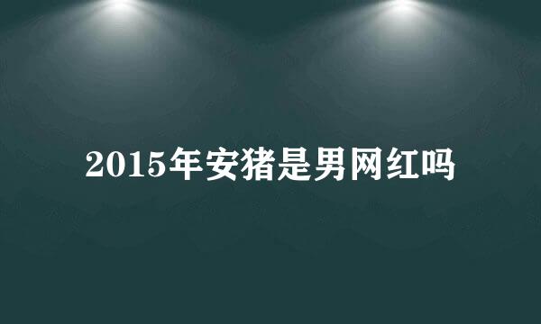 2015年安猪是男网红吗