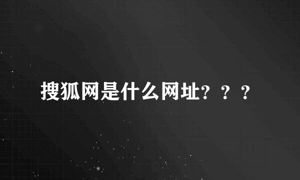 搜狐网是什么网址？？？