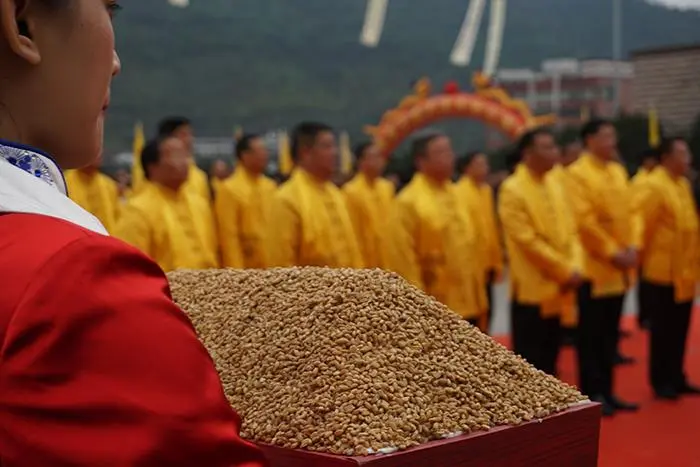 茅台端午大典所祭祀的是? 高粱