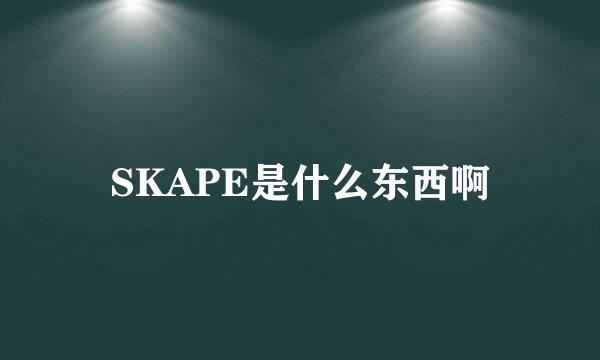 SKAPE是什么东西啊