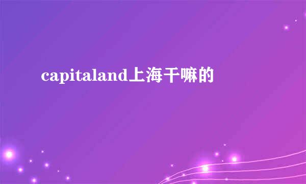 capitaland上海干嘛的