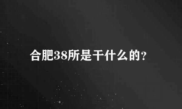 合肥38所是干什么的？