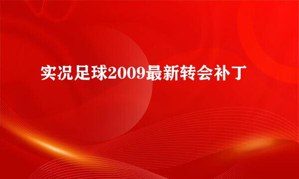 实况足球2009最新转会补丁