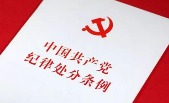 党的各级代表大会的代表受到什么以上处分的，党组织应当终止其代表资格