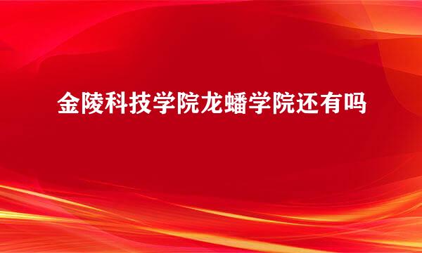 金陵科技学院龙蟠学院还有吗