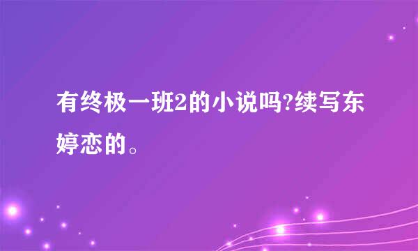 有终极一班2的小说吗?续写东婷恋的。