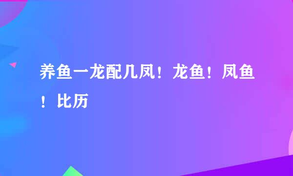 养鱼一龙配几凤！龙鱼！凤鱼！比历