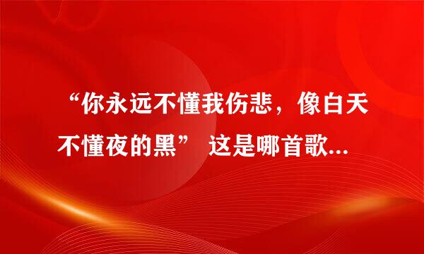 “你永远不懂我伤悲，像白天不懂夜的黑” 这是哪首歌的歌词？