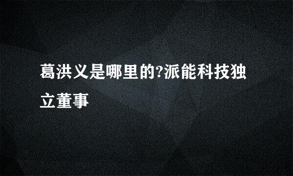 葛洪义是哪里的?派能科技独立董事