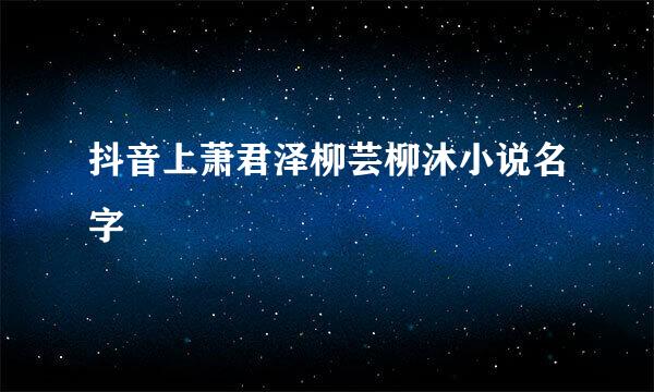 抖音上萧君泽柳芸柳沐小说名字