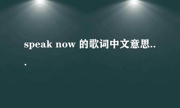 speak now 的歌词中文意思...