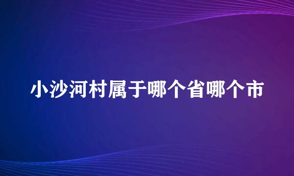 小沙河村属于哪个省哪个市