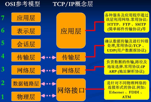 OSI七层模型分别是什么？