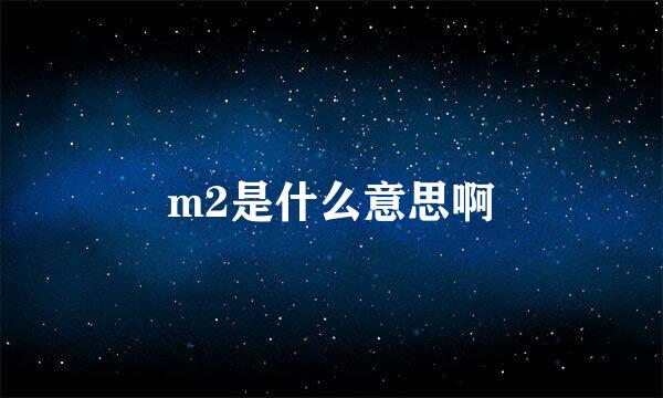 m2是什么意思啊