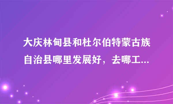 大庆林甸县和杜尔伯特蒙古族自治县哪里发展好，去哪工作怎么样，希望知道的贵人给点意见