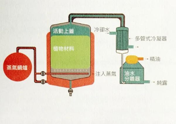 大家都是怎么提取纯露的