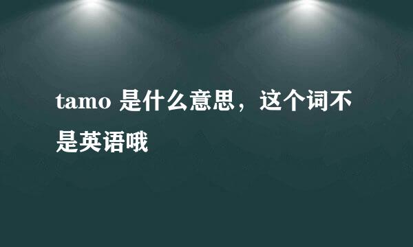 tamo 是什么意思，这个词不是英语哦