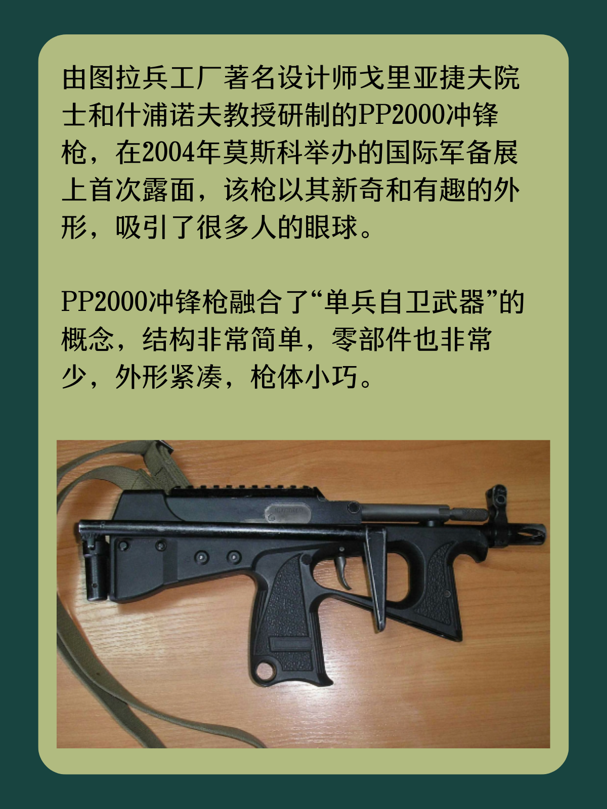 PP2000冲锋枪的介绍