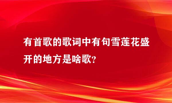 有首歌的歌词中有句雪莲花盛开的地方是啥歌？