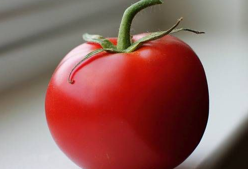 tomato什么意思