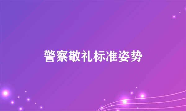 警察敬礼标准姿势