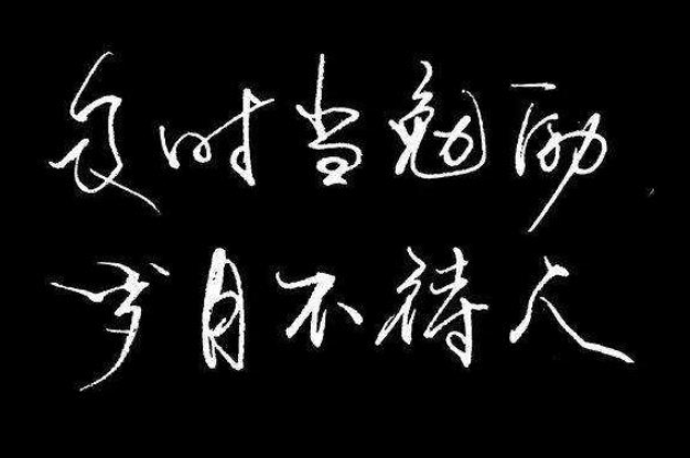 及时当勉励岁月不待人全诗