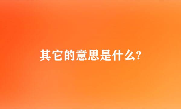 其它的意思是什么?