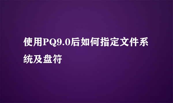 使用PQ9.0后如何指定文件系统及盘符