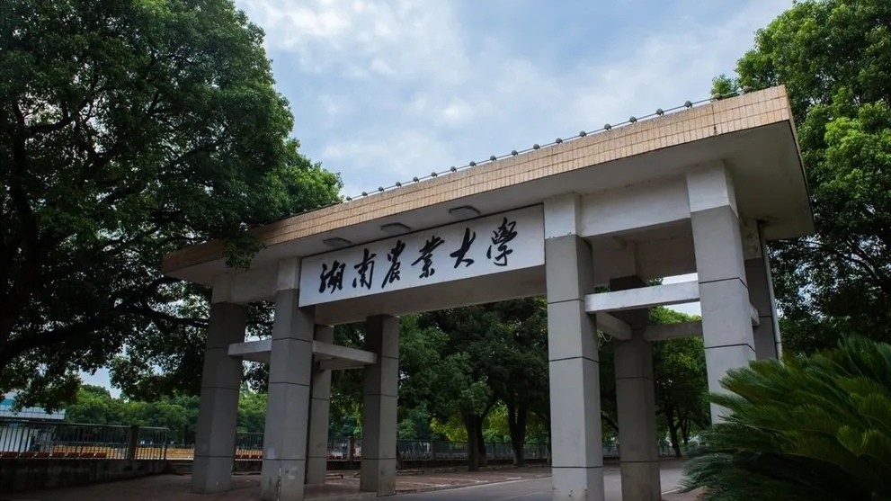 湖南农业大学地址