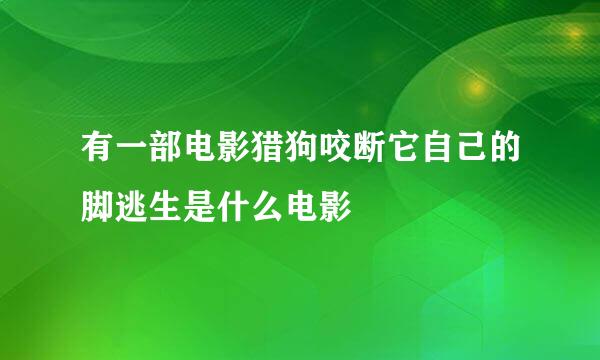 有一部电影猎狗咬断它自己的脚逃生是什么电影