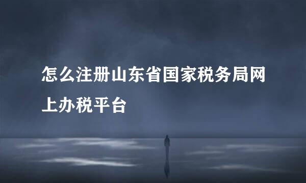 怎么注册山东省国家税务局网上办税平台