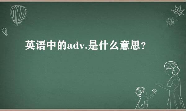 英语中的adv.是什么意思？