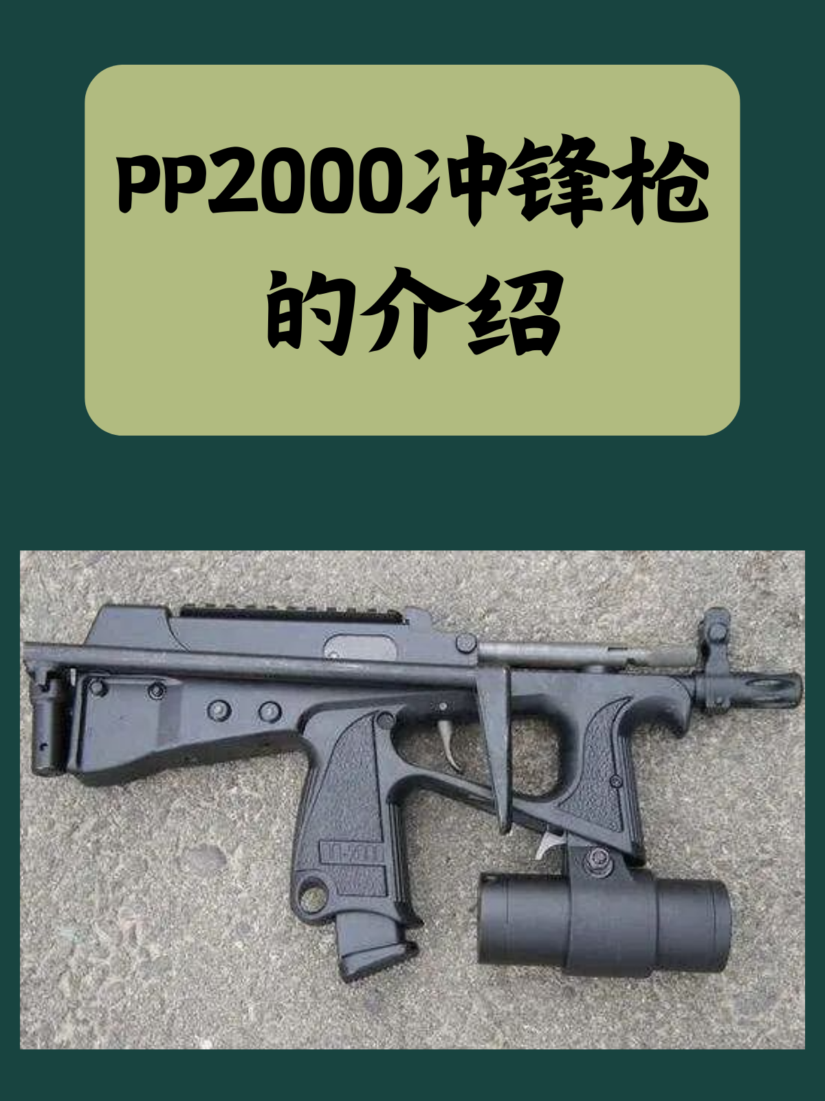 PP2000冲锋枪的介绍